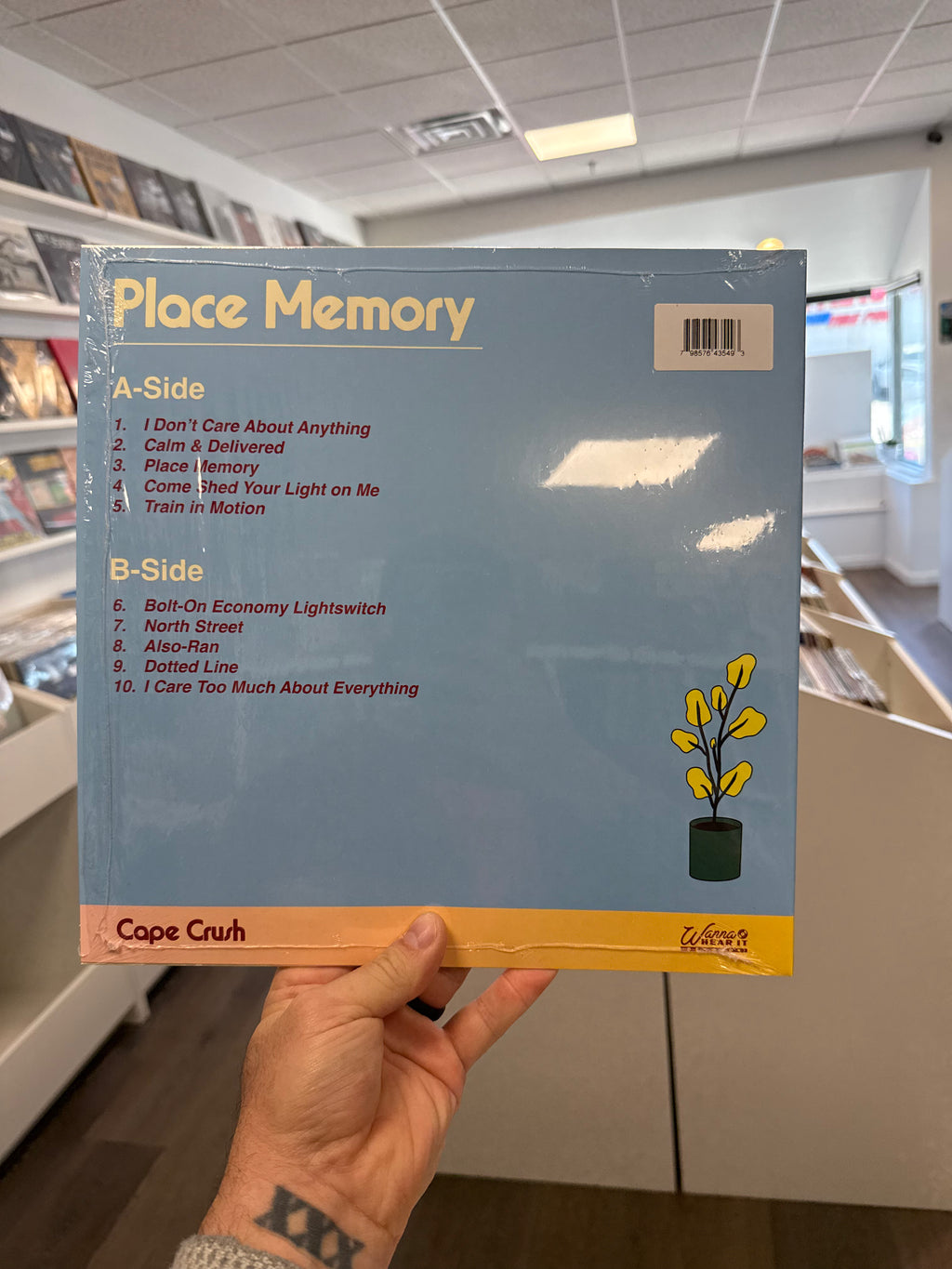 Place Memory Vinyl